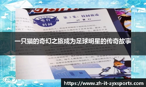 一只猫的奇幻之旅成为足球明星的传奇故事